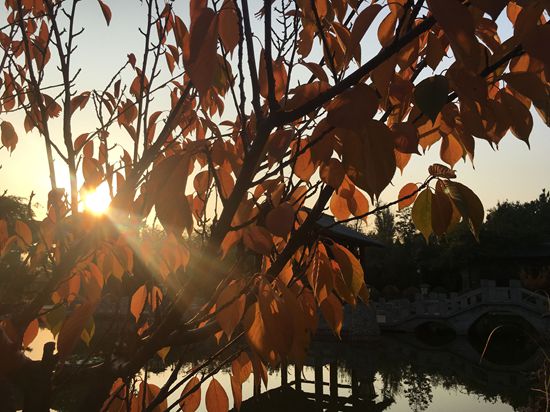 “醉美”重山秋（二）2