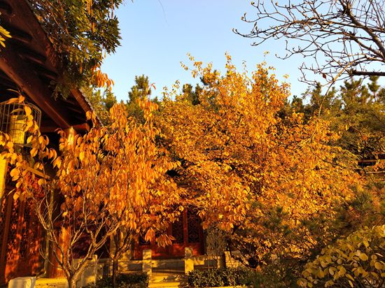 “醉美”重山秋（二）2