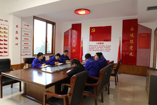 紅紅臉 出出汗 思想體檢促整改——集團(tuán)各黨支部召開專題組織生活會0