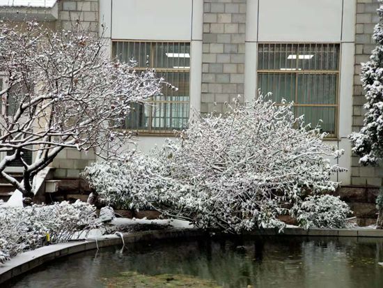 大修進行時，這里有一群可愛的重山人......41