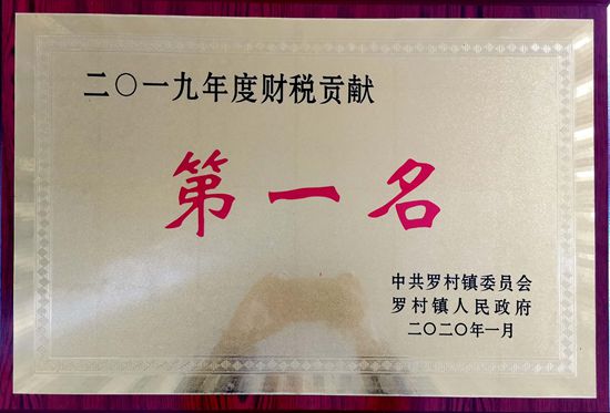 重山集團(tuán)榮獲羅村鎮(zhèn)財(cái)稅貢獻(xiàn)第一名97