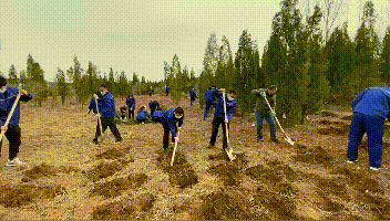 植一片希望 愿山河無恙14