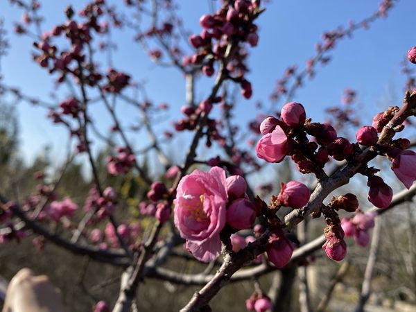 重山春已到 奮斗正當(dāng)時(shí)21