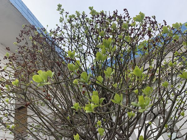 重山春已到 奮斗正當(dāng)時(shí)21