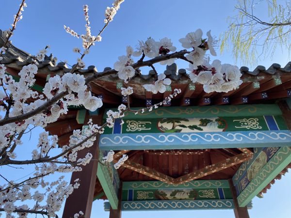 重山春已到 奮斗正當(dāng)時(shí)21