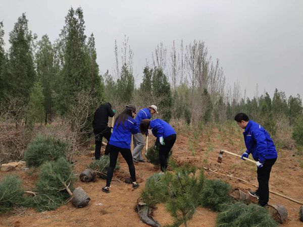 植樹(shù)綠化進(jìn)行時(shí)70