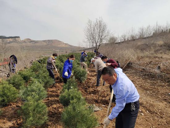 植樹(shù)綠化進(jìn)行時(shí)70