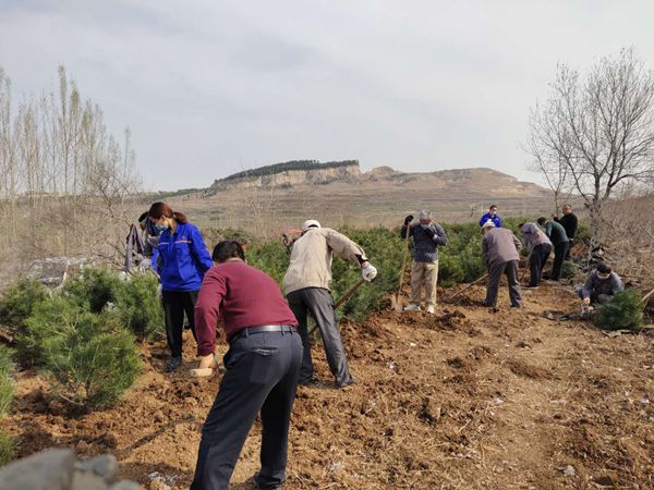 植樹(shù)綠化進(jìn)行時(shí)70