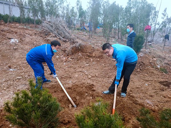 植樹(shù)綠化進(jìn)行時(shí)70