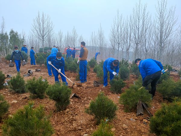 植樹(shù)綠化進(jìn)行時(shí)70