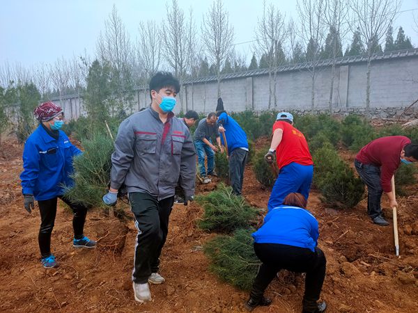 植樹(shù)綠化進(jìn)行時(shí)70