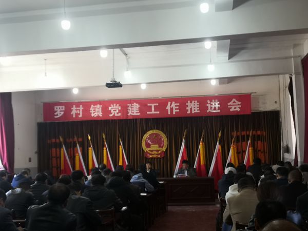 集團(tuán)參加羅村鎮(zhèn)黨建工作推進(jìn)會(huì)71