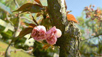 【重山影像】重山春已到 奮斗正當(dāng)時（四）28