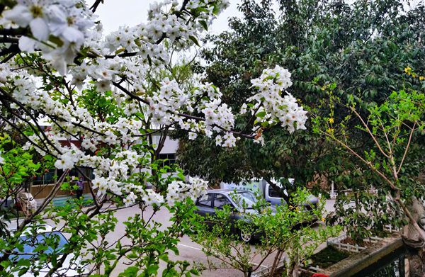 【重山影像】重山春已到 奮斗正當(dāng)時（四）28