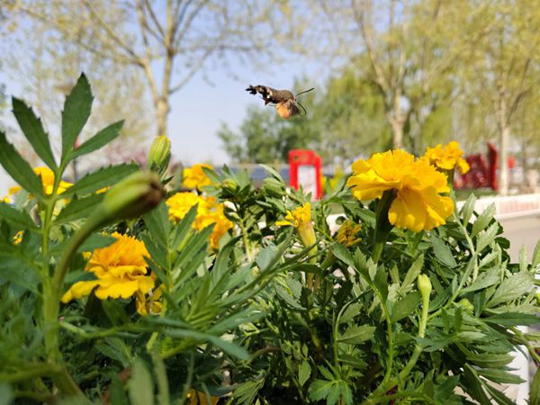 【重山影像】重山春已到 奮斗正當(dāng)時(shí)（五）2