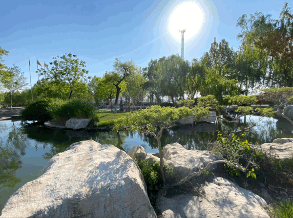 【重山影像】重山春已到 奮斗正當時（六）25