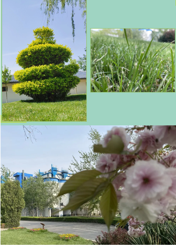 【重山影像】重山春已到 奮斗正當時（六）25