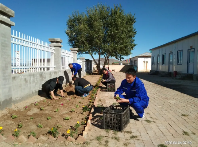 鵬峰化工開展綠化活動85