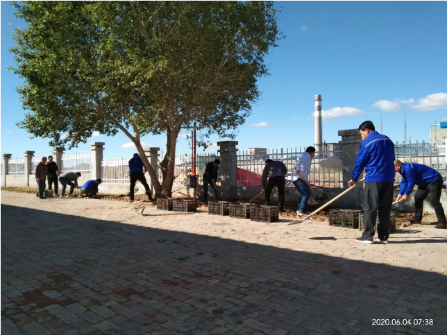 鵬峰化工開展綠化活動85