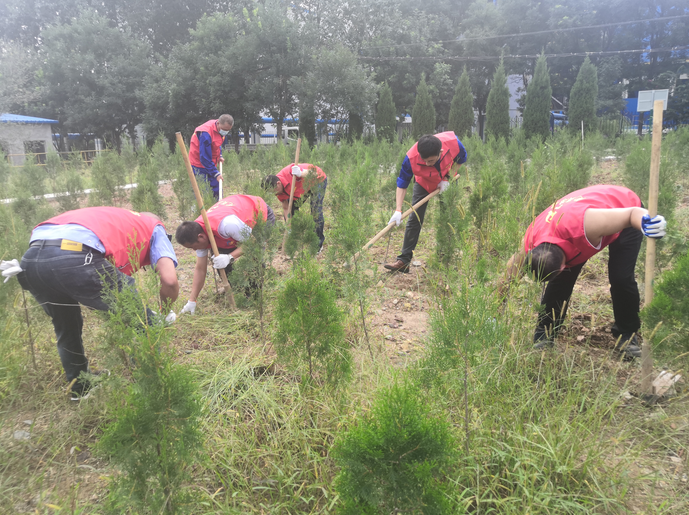 黨員動(dòng)起來 環(huán)境靚起來——集團(tuán)機(jī)關(guān)黨支部組織志愿服務(wù)活動(dòng)22