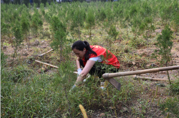 黨員動(dòng)起來 環(huán)境靚起來——集團(tuán)機(jī)關(guān)黨支部組織志愿服務(wù)活動(dòng)22