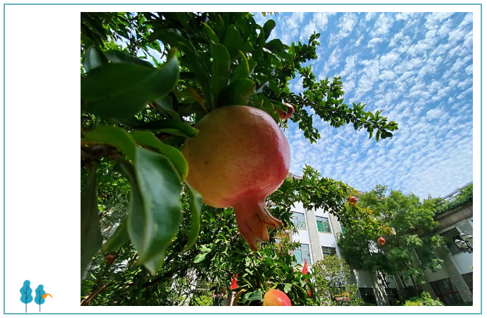 重山影像｜藍(lán)天白云下的綠色重山8