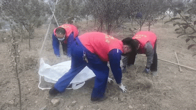 擇善明德 志愿紅“美顏”綠化區(qū) —集團(tuán)黨委組織黨員志愿服務(wù)活動(dòng)68