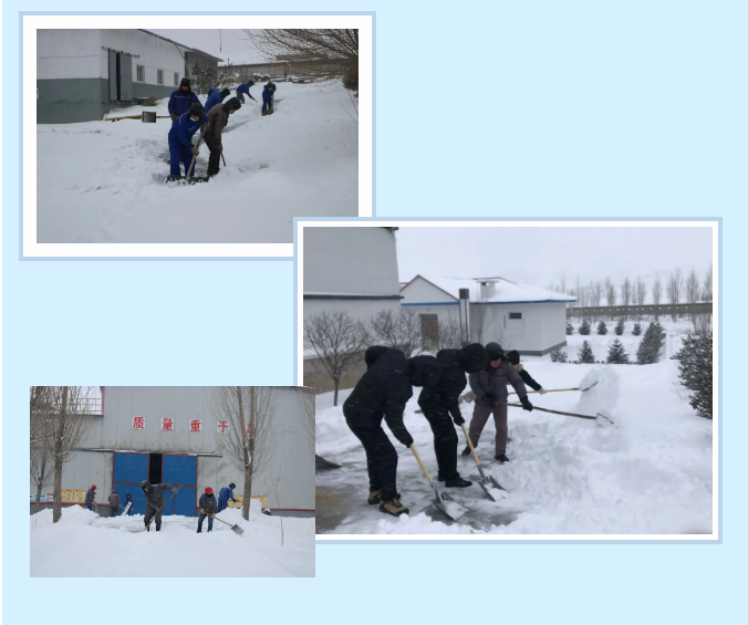 不畏嚴寒沖鋒在前 實際行動踐“致良知”17