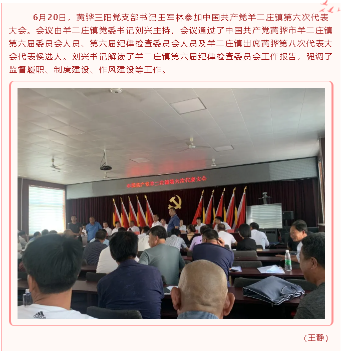 黃驊三陽(yáng)黨支部參加中國(guó)共產(chǎn)黨羊二莊鎮(zhèn)第六次代表大會(huì)49