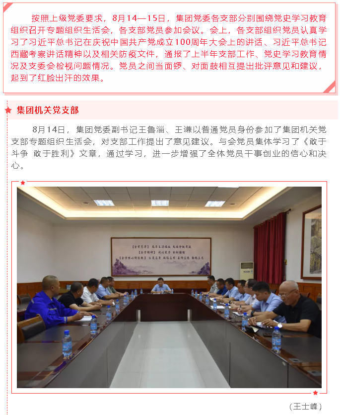 集團黨委各支部開展黨史學習教育專題組織生活會47