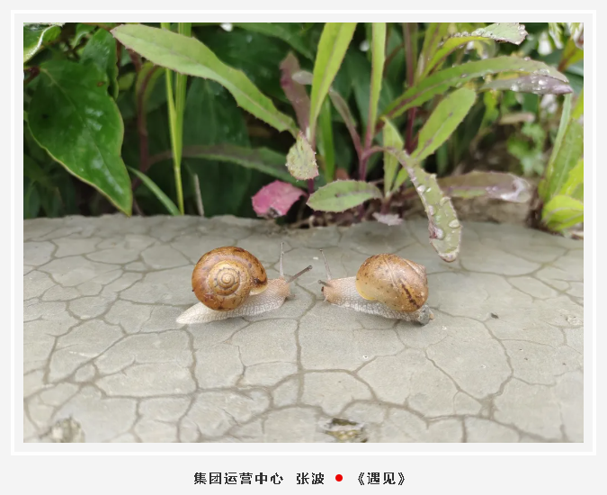 【魅力重山·幸福南韓】書畫攝影作品展（一）42