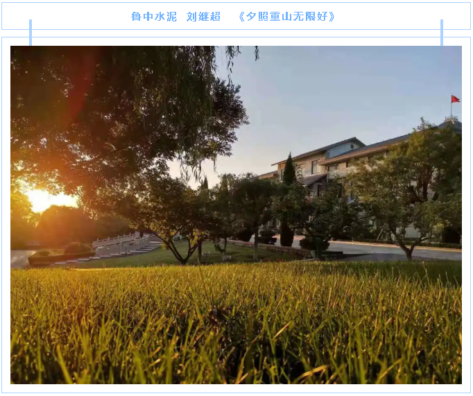 【魅力重山·幸福南韓】書畫攝影作品（三）16