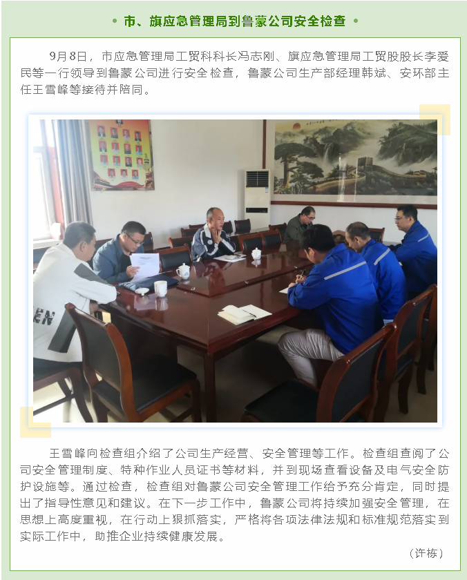 市、旗應(yīng)急管理局到魯蒙公司安全檢查40