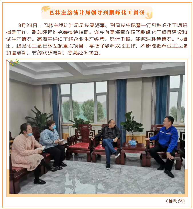 巴林左旗統(tǒng)計局領(lǐng)導(dǎo)到鵬峰化工調(diào)研21