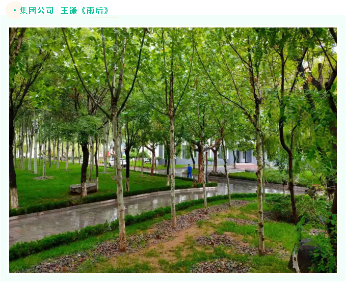 【魅力重山·幸福南韓】書畫攝影作品（六）37