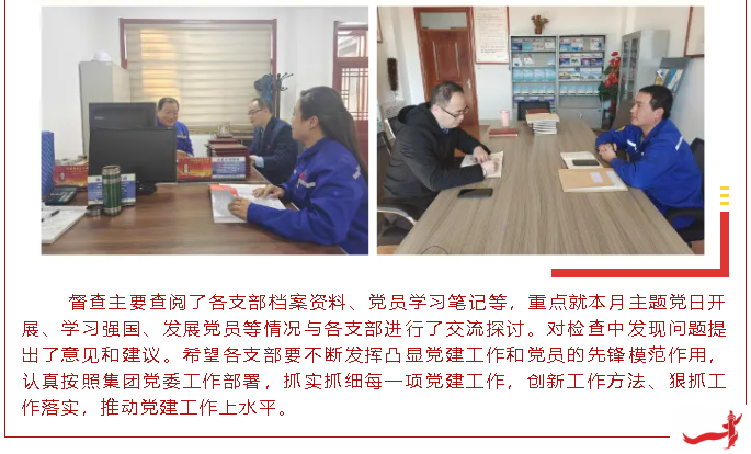 集團黨委辦開展十一月份黨建工作督查46