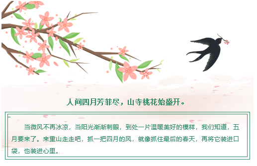 【重山影像】重山芳菲初夏近，萬物逢時皆美好